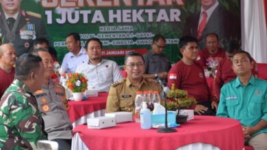 Pemkab Lamandau Menyiapkan 50 Hektare Untuk Pengembangan Jagung