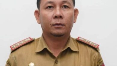 Realisasi Investasi Kalteng Triwulan I 2025 Tembus Rp7,16 Triliun