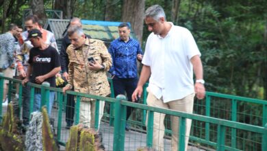 Delegasi Majelis Agung Turki Kunjungi Hutan Kota Nyaru Menteng, Bahas Peluang Kerja Sama Lingkungan