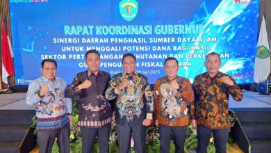 Kadisbun Kalteng, H. Rizki Ramadhana Badjuri, ST., MT. Mendampingi Wagub H. Edy Pratowo mengikuti Rakor Gubernur se-Indonesia