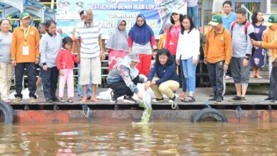 Dislutkan Kalteng saat melakukan Restocking di Kawasan Wisata Waterfront Sungai Arut