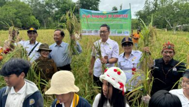 Pemkot Palangka Raya Dorong Generasi Muda Aktif di Sektor Pertanian