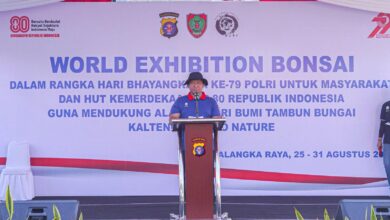 Festival Bonsai Meriahkan HUT Bhayangkara ke-79