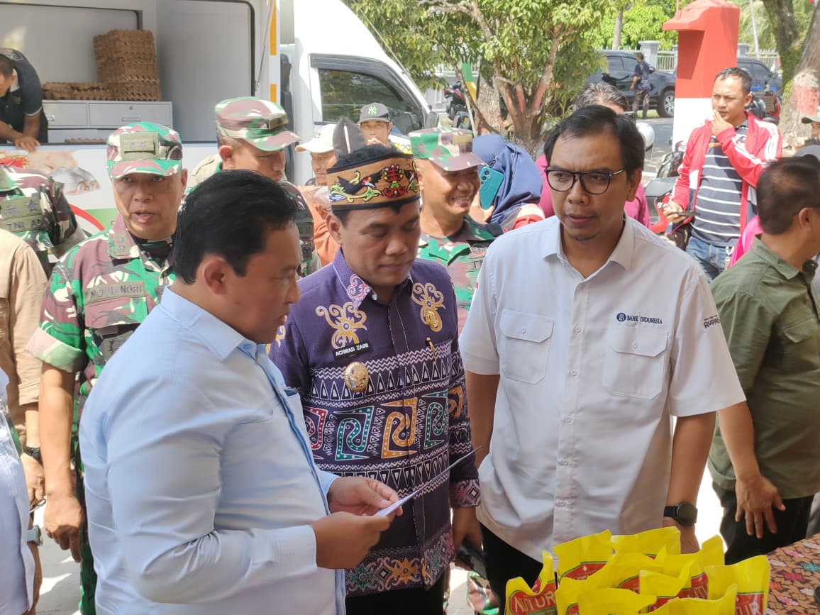 Wakil Gubernur Kalteng, H. Edy Pratowo saat meninjau pelaksanaan GPM
