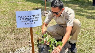 Plt. Kadiskominfosantik Kalteng, Rangga Lesmana melaksanakan penanaman pohon bersama Gubernur dalam rangka memperingati hari jadi Barsel ke-66
