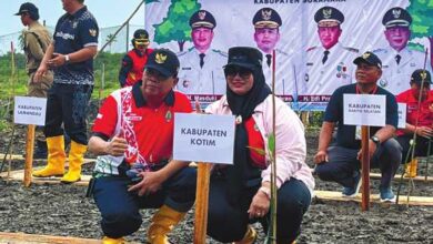 Wakil Bupati Tanam Mangrove 1.000 Batang di Sukamara