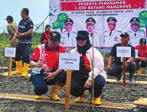 Wakil Bupati Tanam Mangrove 1.000 Batang di Sukamara