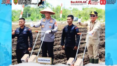 Penanaman Jagung Serentak Kuartal IV Tahun 2025