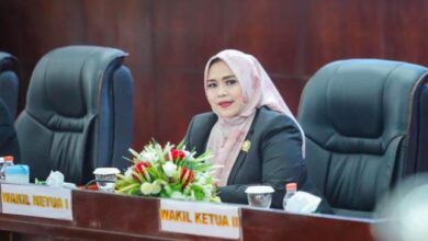 Wakil Ketua I DPRD Kabupaten Murung Raya, Dina Maulidah