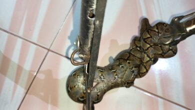 Tim rescue damkar pada saat mengevakuasi ular dari rumah warga di Jalan Puteri Junjung Buih