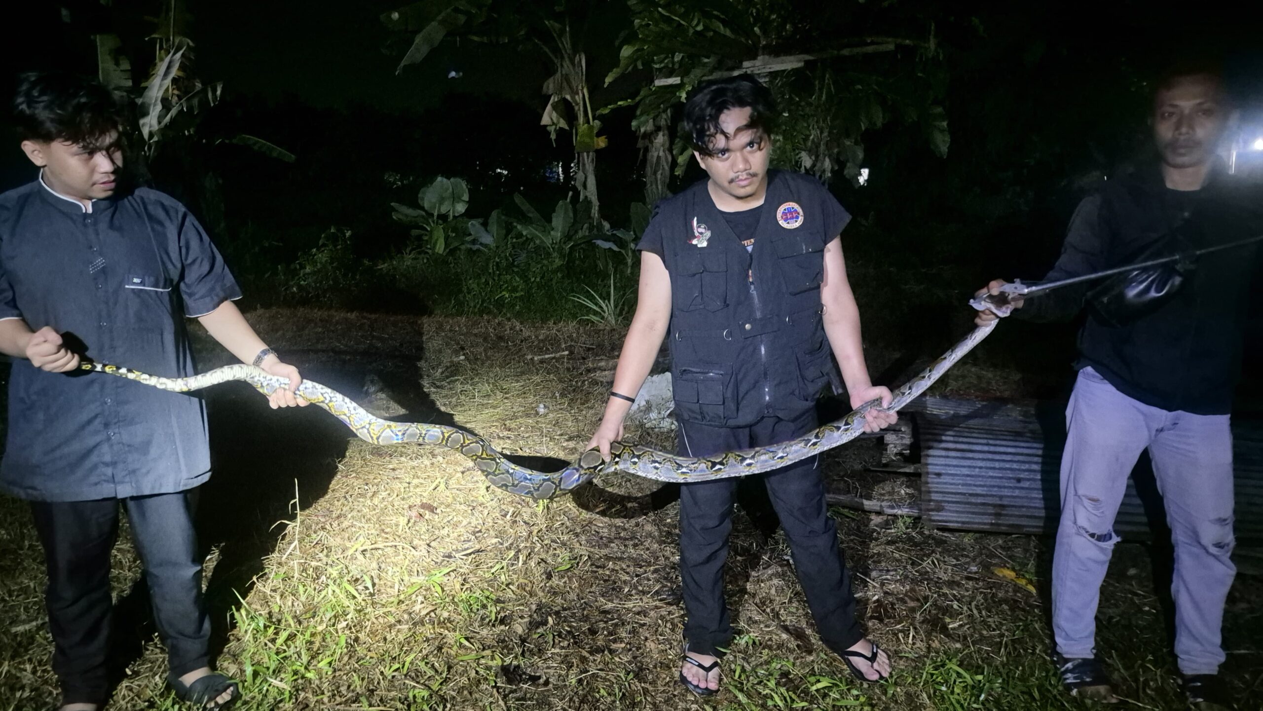 Tim ERP usai berhasil mengevakuasi ular piton