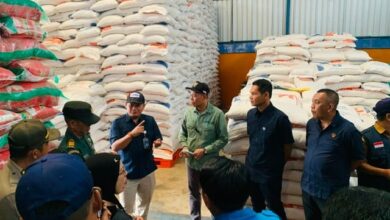 Jelang HBKN 2025, Bulog Kalteng Pastikan Stok Beras Aman