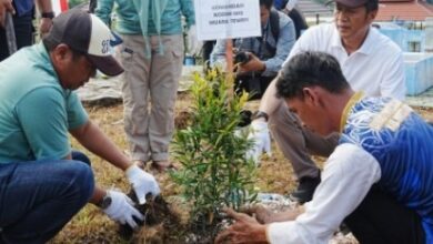 Warga bersama Pemerintah Kabupaten Barito Utara menanam 100 pohon di kawasan Dam Trahayan, Kecamatan Teweh Selatan