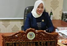 Anggota DPRD Murung Raya, Lita Nofriana