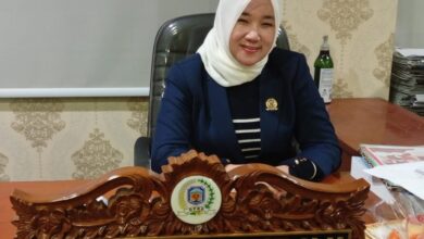 Anggota DPRD Murung Raya, Lita Nofriana