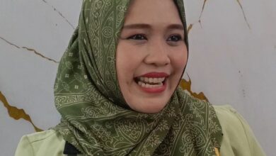 Wakil Ketua I DPRD Murung Raya, Dina Maulidah