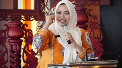 Wakil Ketua I DPRD Murung Raya, Dina Maulidah