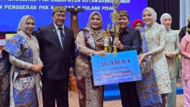 Wakil Ketua I DPRD Murung Raya, Dina Maulidah