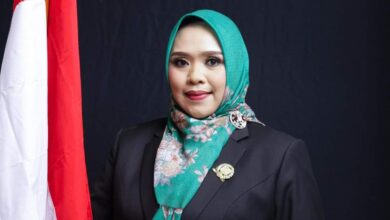 Wakil Ketua I DPRD Kabupaten Murung Raya, Dina Maulidah