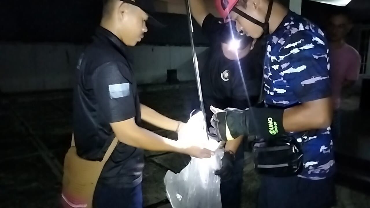 Damkar Palangka Raya melakukan evakuasi anak ular piton dari rumah warga di Palangka Raya