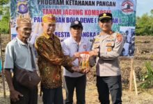 Kapolsek Pahandut AKP Iyudi Hartanto bersama kelompok tani