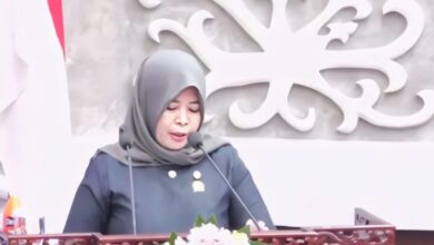 Infrastruktur Desa hingga Food Estate