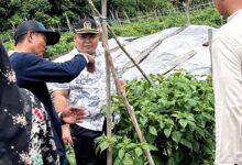 Imam Mujiono Serap Aspirasi Kelompok Tani