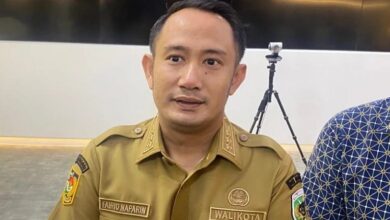Wali Kota Palangka Raya, Fairid Naparin