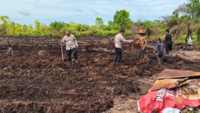 Personel Polsek Pahandut ketika mempersiapkan lahan untuk program jagung ketahanan pangan