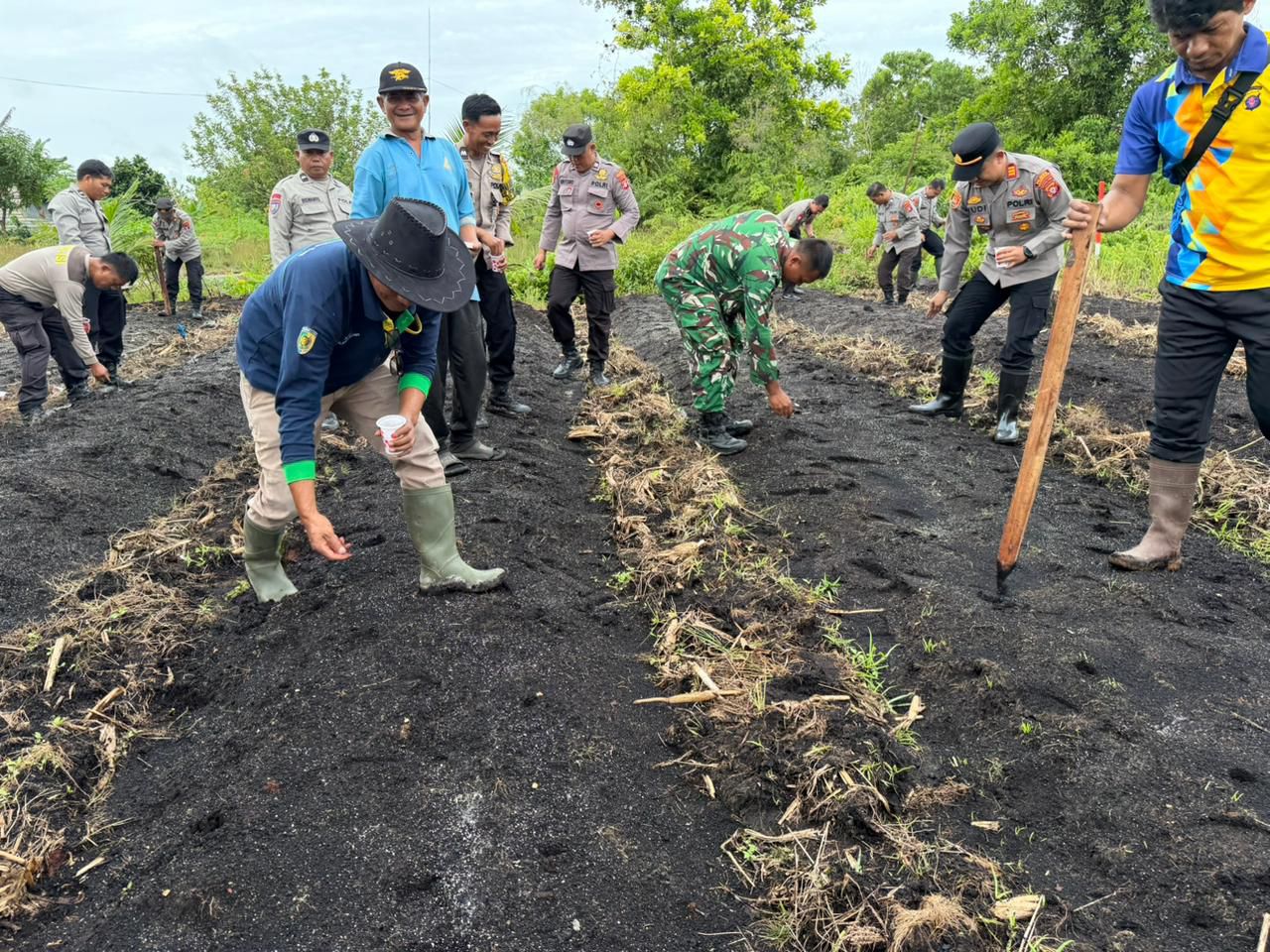 Kapolsek Pahandut AKP Iyudi Hartanto bersama puluhan personel ketika melakukan penanaman jagung di wilayah Kecamatan Jekan Raya