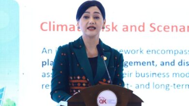 Pejabat Sementara Ketua Dewan Komisioner OJK, Friderica Widyasari Dewi