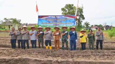 Wakil Wali Kota Palangka Raya, Achmad Zaini saat menghadiri kegiatan penanaman jagung serentak