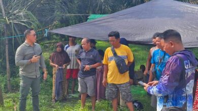 Situasi di lokasi lahan perkebunan kelapa sawit yang tengah bersengketa di Kab. Kotim di duduki ratusan warga Gapoktan dan Kuasa Hukum, Suriansyah Halim, SH., SE., MH., CLA