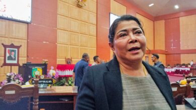 Wakil Ketua II DPRD Kota Palangka Raya, Nenie Adriati Lambung.