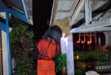 Damkar Palangka Raya mengevakuasi sarang tawon vespa, Jumat (3/4/2026) malam.