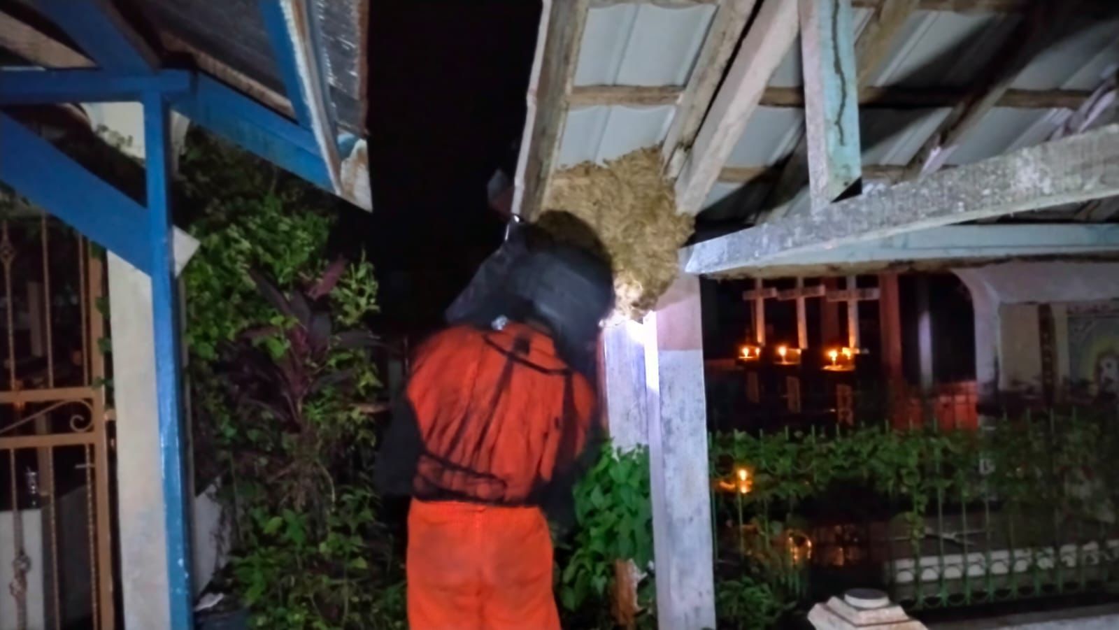 Damkar Palangka Raya mengevakuasi sarang tawon vespa, Jumat (3/4/2026) malam.