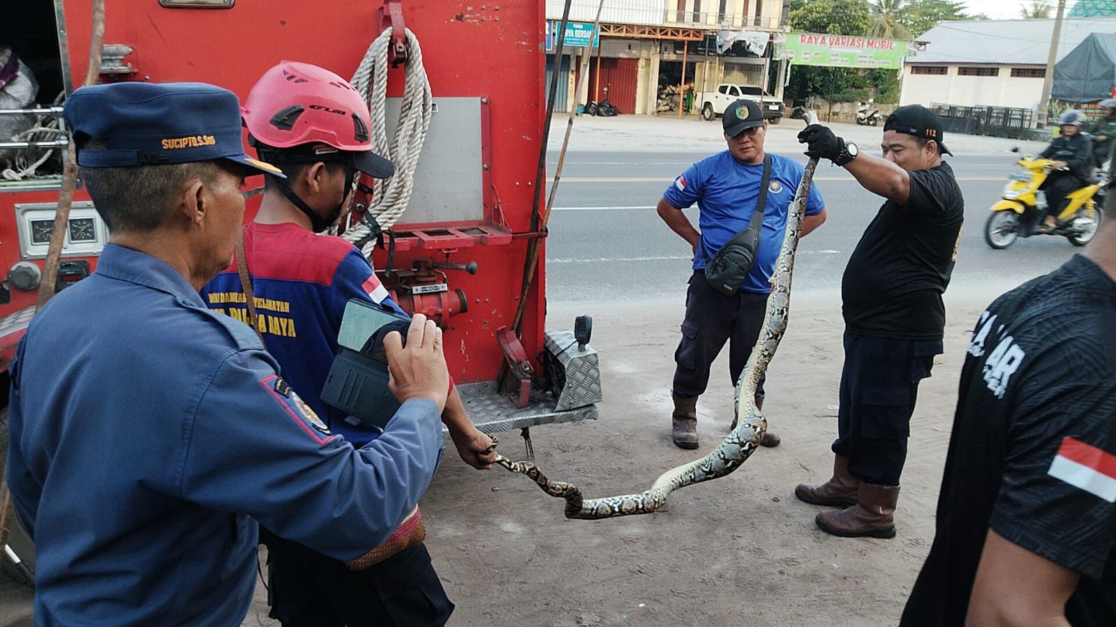 Petugas damkar berhasil mengevakuasi ular piton yang melilit kucing milik masyarakat
