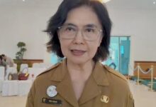 Pj. Sekda Kalteng, Linae Victoria Aden