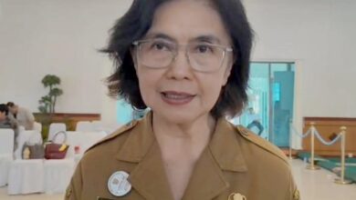 Pj. Sekda Kalteng, Linae Victoria Aden