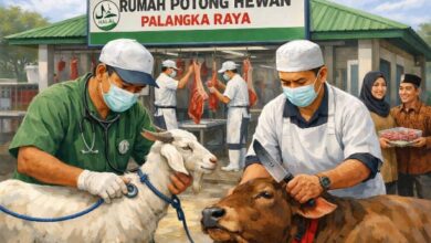 Distanketpang Palangka Raya Siapkan Layanan RPH untuk Kurban Aman dan Higienis