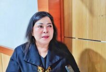 Wakil Ketua II DPRD Kota Palangka Raya, Nenie Adriati Lambung.