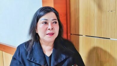 Wakil Ketua II DPRD Kota Palangka Raya, Nenie Adriati Lambung.