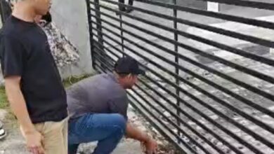 Massa aksi melepas ratusan kodok di Kantor Pertamina