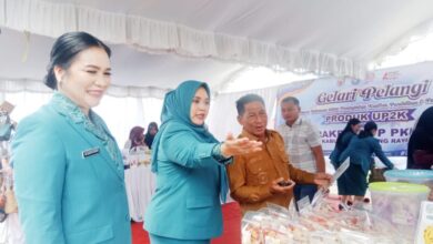 Dina Maulidah saat memperkenalkan produk jualan di Gelari Pelangi