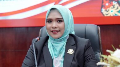 Wakil Ketua I DPRD Murung Raya, Dina Maulidah