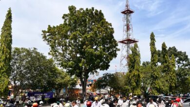 Operasi razia pajak yang berlangsung di Palangka Raya, baru-baru ini.