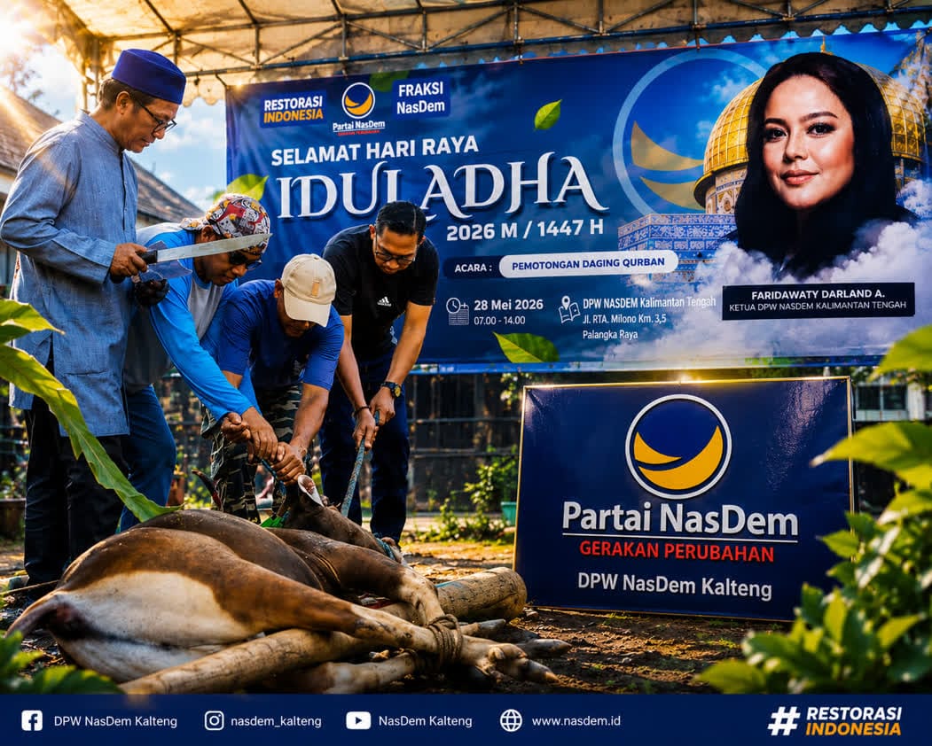 DPW Partai NasDem Kalteng Salurkan 11 Sapi dan 3 Kambing Kurban pada Iduladha 1447 H