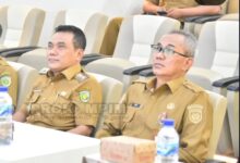 Wakil Wali Kota Palangka Raya, Achmad Zaini
