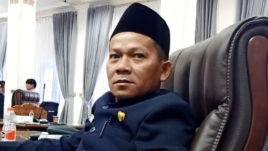 Anggota DPRD Kabupaten Barito Utara dari Partai Demokrat, Ardianto
