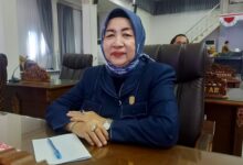 Anggota DPRD Kabupaten, Rujana Anggraini